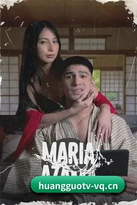 📺 关于本站